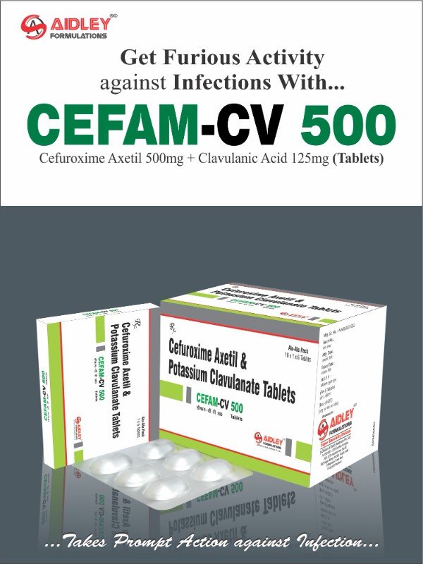 CEFAM-CV-500